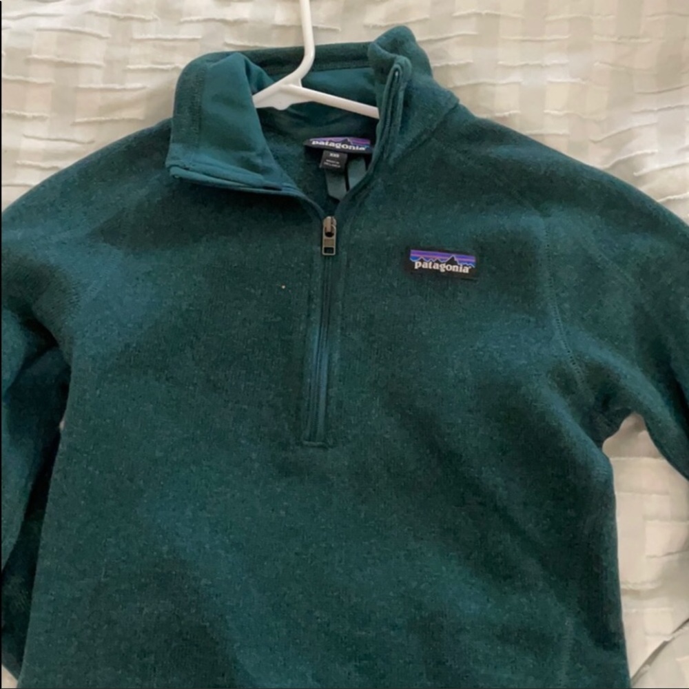 Patagonia sweatshirt